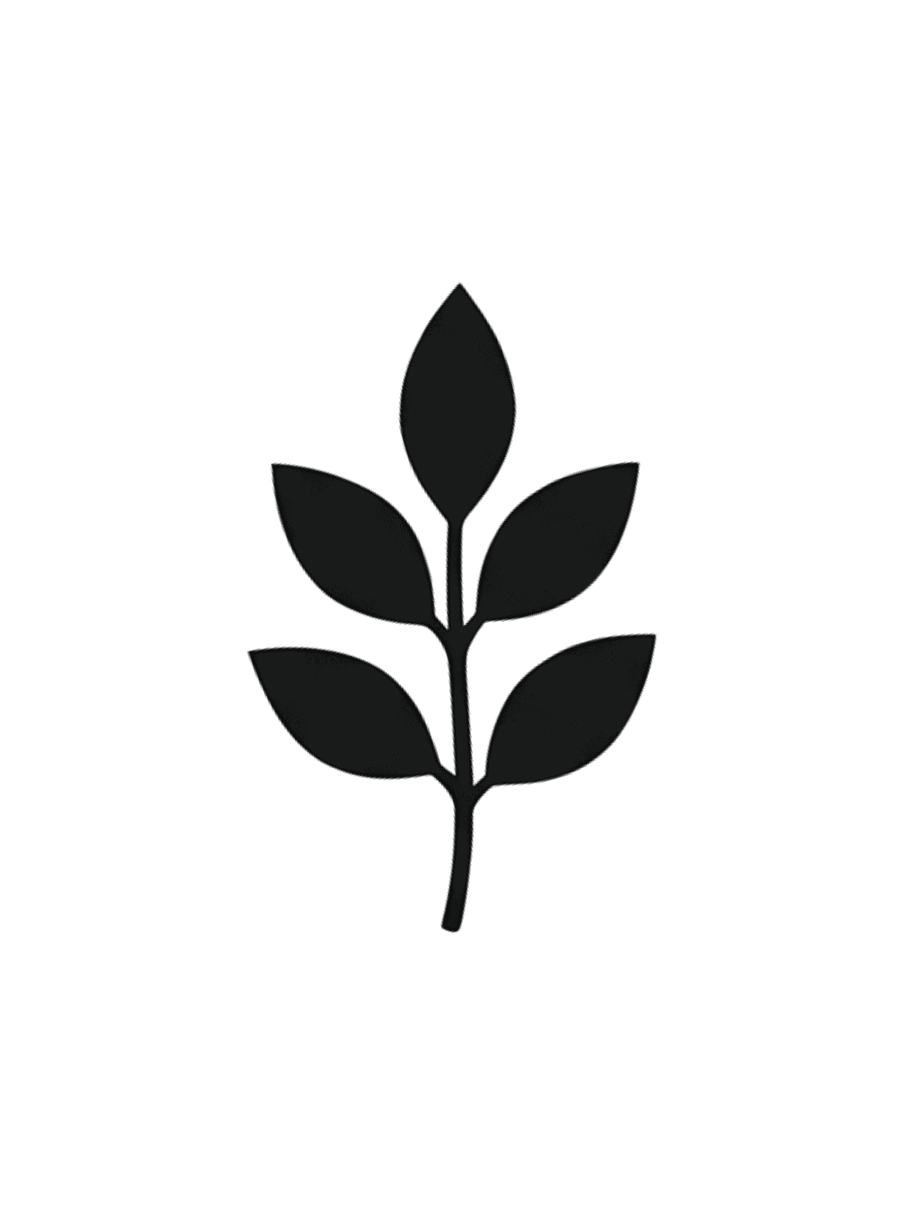 Bonenextract